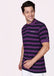 Striped Polo - Regular Fit